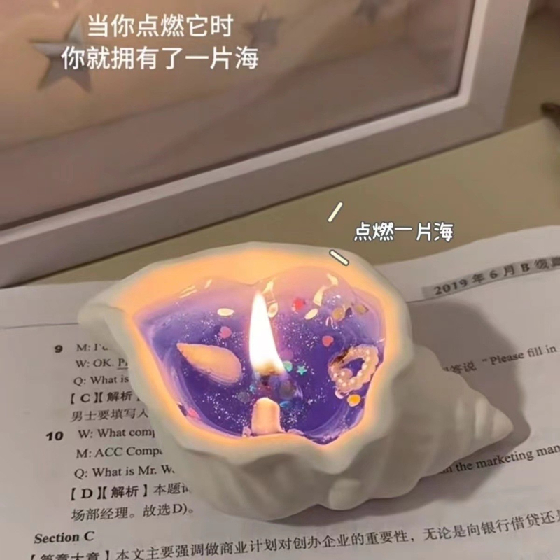 固形エッセンシャルオイルワックスメルト、クリエイティブな貝殻 - Home Fragrance Wax Melts のレビューと価格