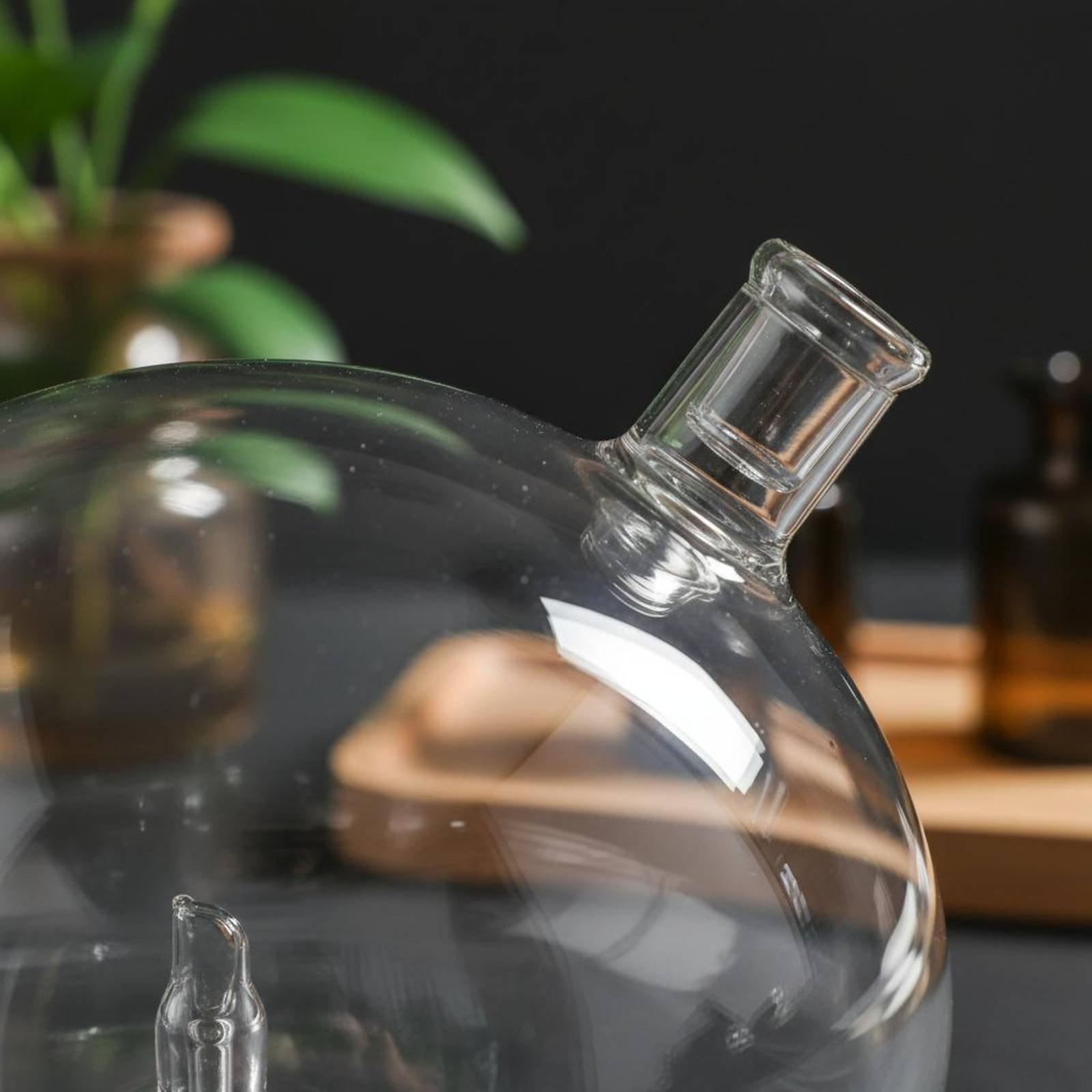 ディフューザーボトル ユニバーサルフィット ガラス交換用 ウ - Home Fragrance Usa のレビューと価格